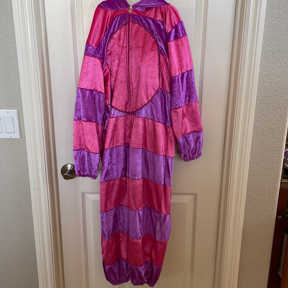 Princess, paradise, Cheshire cat costume